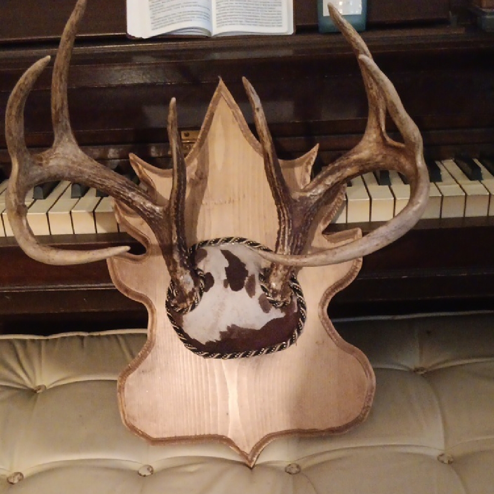 Natural Antler Wall Decor with Wood Plaque